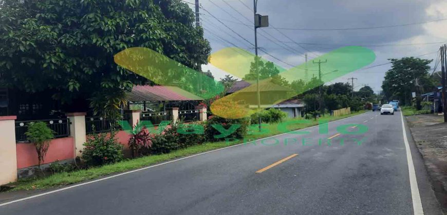 DIJUAL CEPAT TANAH CANTIK DAN STRATEGIS DAERAH KALAWAT, HARGA SANGAT MURAH