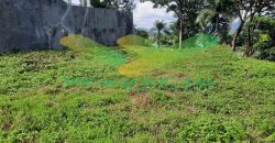 DIJUAL CEPAT TANAH CANTIK DAN MENARIK DAERAH CITRALAND, HARGA SANGAT MURAH