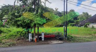 DIJUAL CEPAT TANAH MENARIK DAN STRATEGIS DAERAH KAIMA, HARGA SANGAT MURAH