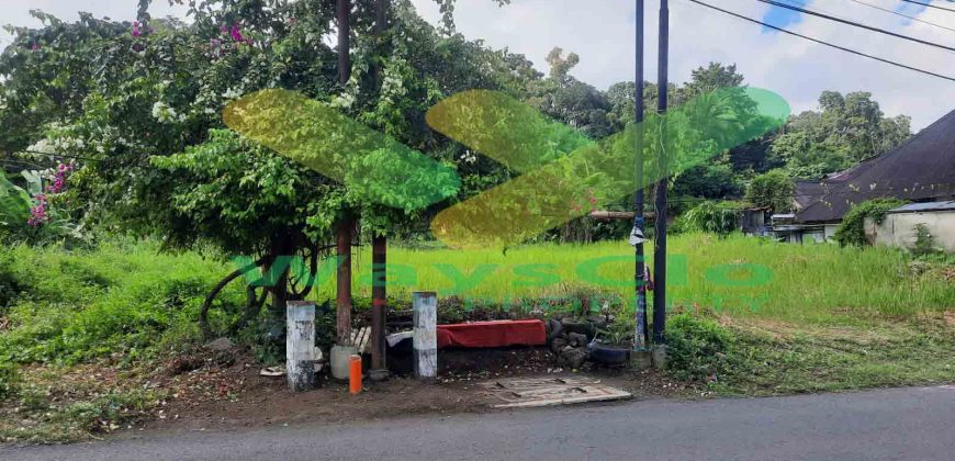 DIJUAL CEPAT TANAH MENARIK DAN STRATEGIS DAERAH KAIMA, HARGA SANGAT MURAH