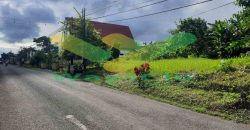 DIJUAL CEPAT TANAH MENARIK DAN STRATEGIS DAERAH KAIMA, HARGA SANGAT MURAH