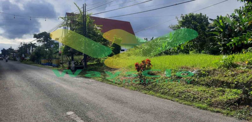 DIJUAL CEPAT TANAH MENARIK DAN STRATEGIS DAERAH KAIMA, HARGA SANGAT MURAH