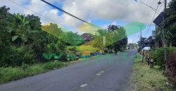 DIJUAL CEPAT TANAH MENARIK DAN STRATEGIS DAERAH KAIMA, HARGA SANGAT MURAH