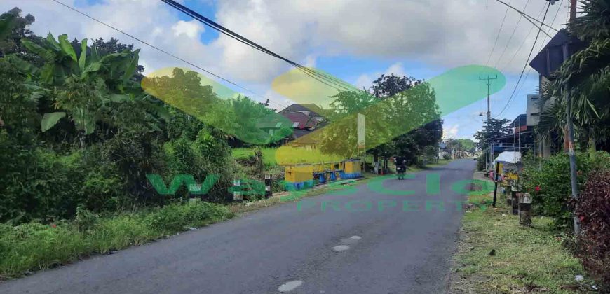 DIJUAL CEPAT TANAH MENARIK DAN STRATEGIS DAERAH KAIMA, HARGA SANGAT MURAH