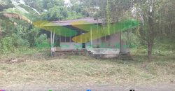 DIJUAL CEPAT TANAH MENARIK DAN STRATEGIS DAERAH KAIRAGI, HARGA SANGAT MURAH