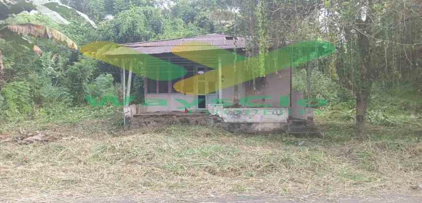 DIJUAL CEPAT TANAH MENARIK DAN STRATEGIS DAERAH KAIRAGI, HARGA SANGAT MURAH