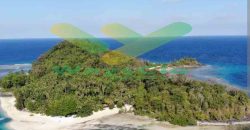 DIJUAL CEPAT TANAH CANTIK DAN MENARIK PANTAI LIKUPANG, HARGA SANGAT MURAH