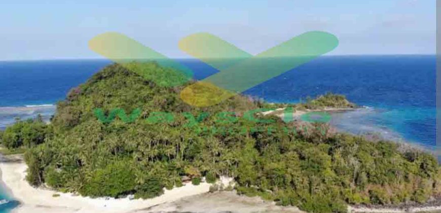 DIJUAL CEPAT TANAH CANTIK DAN MENARIK PANTAI LIKUPANG, HARGA SANGAT MURAH