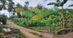 DIJUAL CEPAT TANAH MENARIK DAERAH MALALAYANG, HARGA SANGAT MURAH