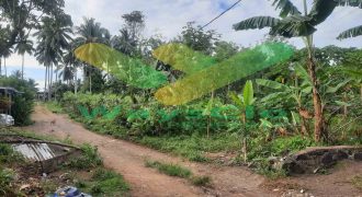 DIJUAL CEPAT TANAH MENARIK DAERAH MALALAYANG, HARGA SANGAT MURAH