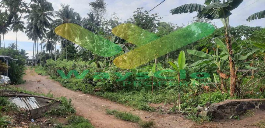 DIJUAL CEPAT TANAH MENARIK DAERAH MALALAYANG, HARGA SANGAT MURAH