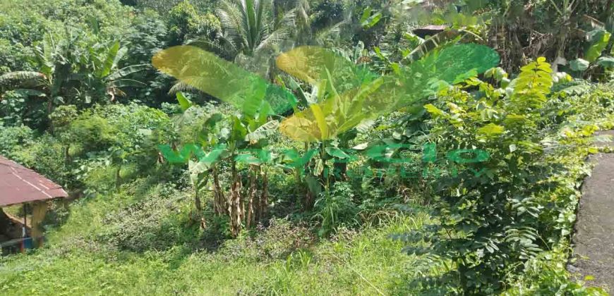 DIJUAL CEPAT TANAH SANGAT MURAH DAERAH RANOMUT, HARGA DI BAWAH PASARAN