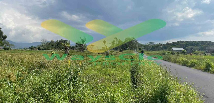 DIJUAL CEPAT TANAH CANTIK DAN MENARIK DAERAH TONDANO, HARGA SANGAT MURAH