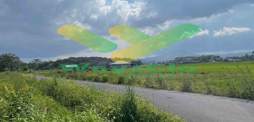 DIJUAL CEPAT TANAH CANTIK DAN MENARIK DAERAH TONDANO, HARGA SANGAT MURAH