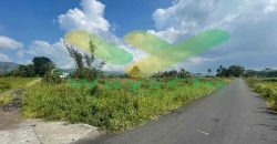 DIJUAL CEPAT TANAH CANTIK DAN MENARIK DAERAH TONDANO, HARGA SANGAT MURAH