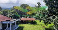 DIJUAL CEPAT TANAH SANGAT STRATEGIS DI TENGAH KOTA BITUNG, HARGA SANGAT MURAH