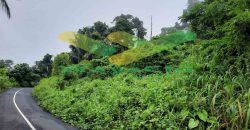 DIJUAL CEPAT TANAH CANTIK DAN MENARIK DAERAH LEMBEAN, HARGA SANGAT MURAH