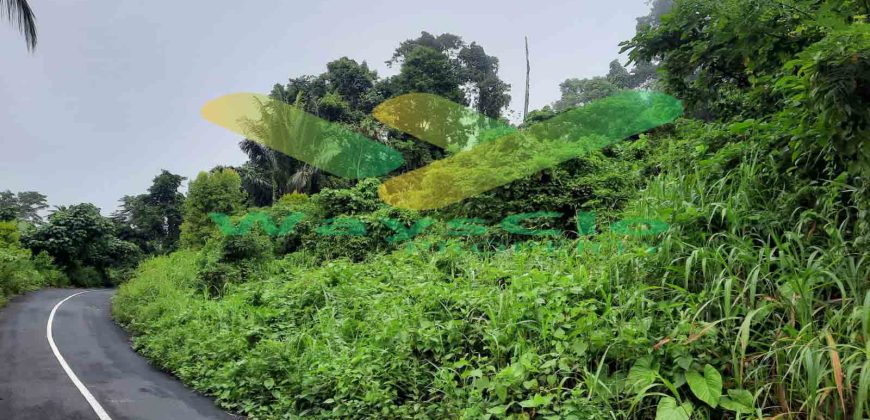 DIJUAL CEPAT TANAH CANTIK DAN MENARIK DAERAH LEMBEAN, HARGA SANGAT MURAH