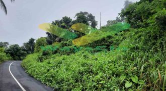 DIJUAL CEPAT TANAH CANTIK DAN MENARIK DAERAH LEMBEAN, HARGA SANGAT MURAH
