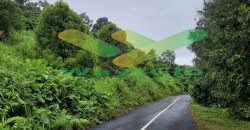 DIJUAL CEPAT TANAH CANTIK DAN MENARIK DAERAH LEMBEAN, HARGA SANGAT MURAH