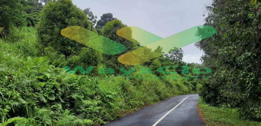 DIJUAL CEPAT TANAH CANTIK DAN MENARIK DAERAH LEMBEAN, HARGA SANGAT MURAH