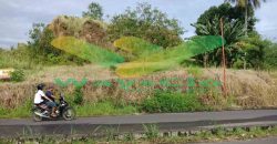 DIJUAL CEPAT TANAH MENARIK DAN STRATEGIS DAERAH PAAL DUA, HARGA SANGAT MURAH