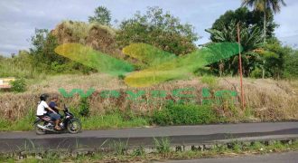 DIJUAL CEPAT TANAH MENARIK DAN STRATEGIS DAERAH PAAL DUA, HARGA SANGAT MURAH