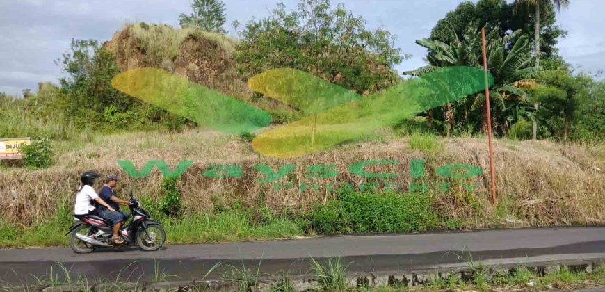 DIJUAL CEPAT TANAH MENARIK DAN STRATEGIS DAERAH PAAL DUA, HARGA SANGAT MURAH