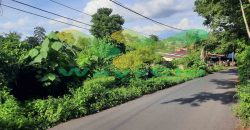 DIJUAL CEPAT TANAH MENARIK DAERAH MALALAYANG, HARGA SANGAT MURAH