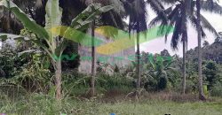 DIJUAL CEPAT TANAH CANTIK VIEW LAUT DAERAH TANAHWANGKO, HARGA SANGAT MURAH