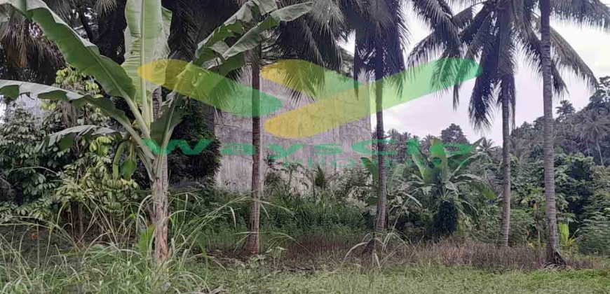 DIJUAL CEPAT TANAH CANTIK VIEW LAUT DAERAH TANAHWANGKO, HARGA SANGAT MURAH