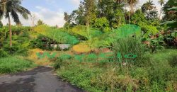 DIJUAL CEPAT TANAH MENARIK DENGAN HARGA SANGAT MURAH, HARGA DI BAWAH PASARAN