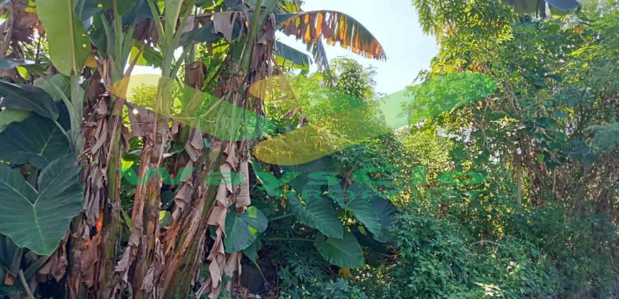 DIJUAL CEPAT TANAH CANTIK DAN MENARIK DAERAH PAAL DUA, HARGA SANGAT MURAH