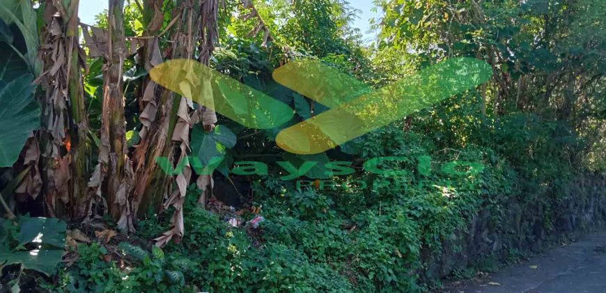 DIJUAL CEPAT TANAH CANTIK DAN MENARIK DAERAH PAAL DUA, HARGA SANGAT MURAH