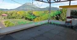 DIJUAL CEPAT RUMAH CANTIK DAN MENARIK DAERAH TOMOHON, HARGA SANGAT MURAH