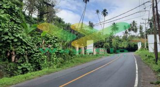 DIJUAL CEPAT TANAH RESORT PINGGIR PANTAI MENARIK, HARGA SANGAT MURAH
