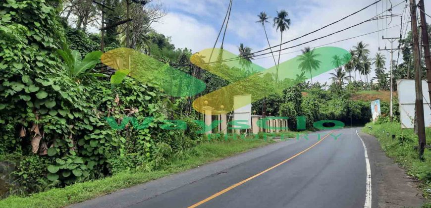 DIJUAL CEPAT TANAH RESORT PINGGIR PANTAI MENARIK, HARGA SANGAT MURAH