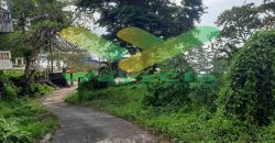 DIJUAL CEPAT TANAH RESORT PINGGIR PANTAI MENARIK, HARGA SANGAT MURAH