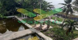 DIJUAL CEPAT TANAH RESORT PINGGIR PANTAI MENARIK, HARGA SANGAT MURAH