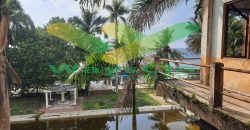 DIJUAL CEPAT TANAH RESORT PINGGIR PANTAI MENARIK, HARGA SANGAT MURAH
