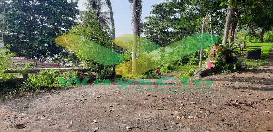 DIJUAL CEPAT TANAH RESORT PINGGIR PANTAI MENARIK, HARGA SANGAT MURAH
