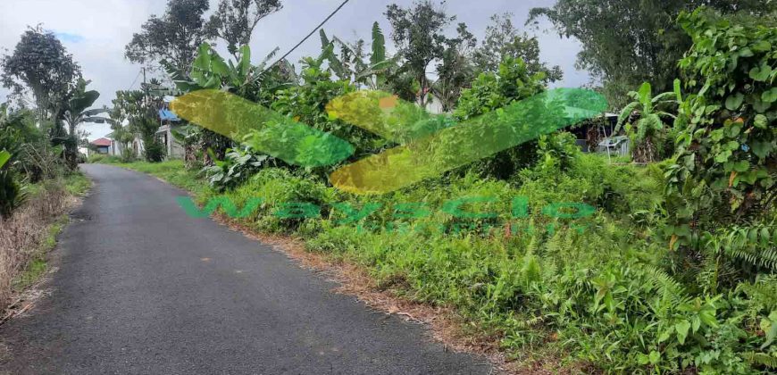 DIJUAL CEPAT TANAH CANTIK DAN MENARIK DAERAH TOMOHON, HARGA SANGAT MURAH