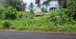 DIJUAL CEPAT TANAH CANTIK DAN MENARIK DAERAH TOMOHON, HARGA SANGAT MURAH