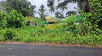 DIJUAL CEPAT TANAH CANTIK DAN MENARIK DAERAH TOMOHON, HARGA SANGAT MURAH