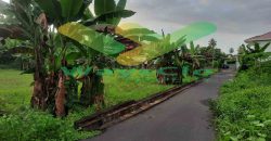 DIJUAL CEPAT TANAH SANGAT MURAH DAERAH MALALAYANG, HARGA DI BAWAH PASARAN