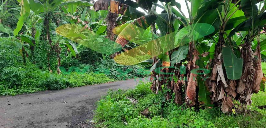 DIJUAL CEPAT TANAH SANGAT MURAH DAERAH MALALAYANG, HARGA DI BAWAH PASARAN