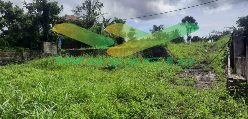 DIJUAL CEPAT TANAH CANTIK DAN MENARIK DAERAH TOMOHON, HARGA SANGAT MURAH
