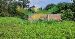 DIJUAL CEPAT TANAH CANTIK DAN MENARIK DAERAH TOMOHON, HARGA SANGAT MURAH