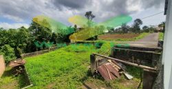 DIJUAL CEPAT TANAH CANTIK DAN MENARIK DAERAH TOMOHON, HARGA SANGAT MURAH