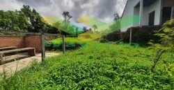 DIJUAL CEPAT TANAH CANTIK DAN MENARIK DAERAH TOMOHON, HARGA SANGAT MURAH